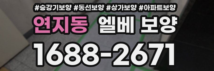 연지동 엘베 보양