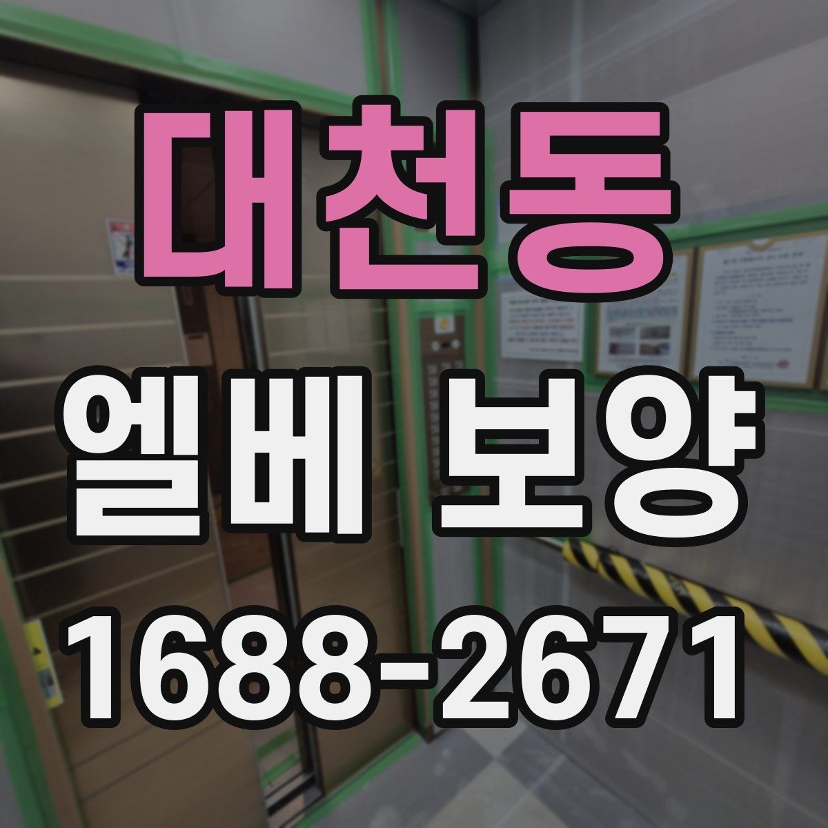 대천동 엘베 보양 작업 전후 사진 자료를 남기는 이유