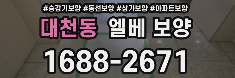 대천동 엘베 보양