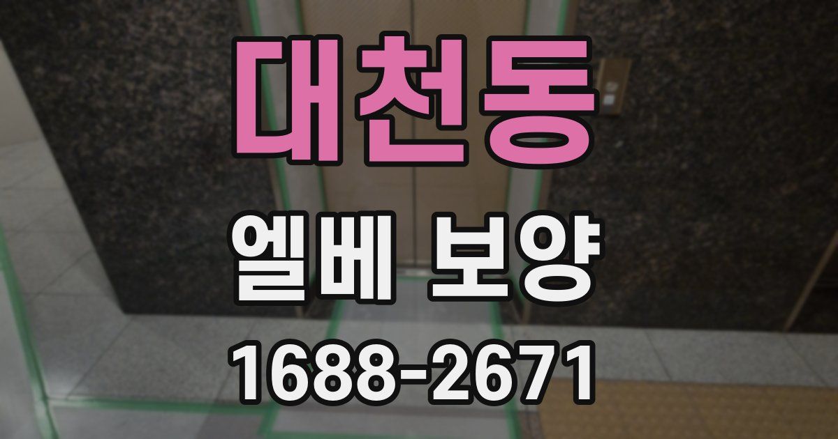 대천동 엘베 보양