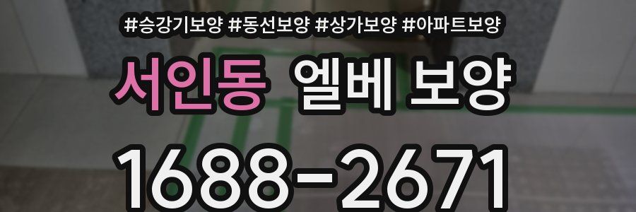 서인동 엘베 보양