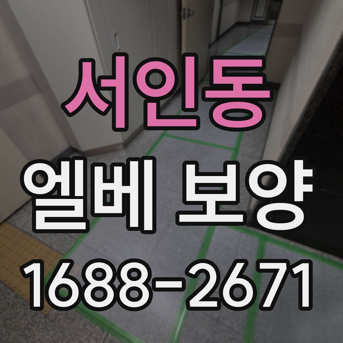 서인동 엘베 보양