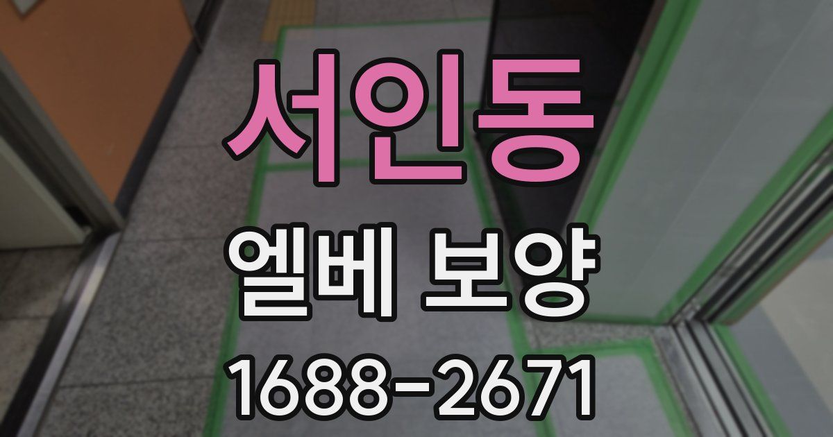 서인동 엘베 보양