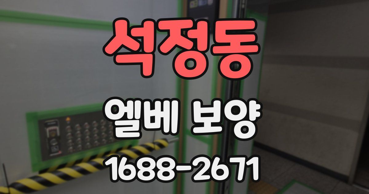 석정동 엘베 보양