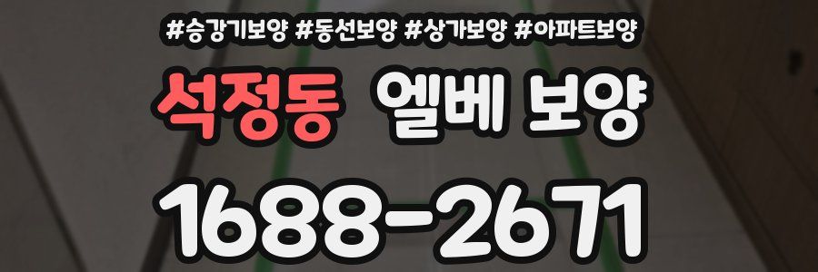 석정동 엘베 보양