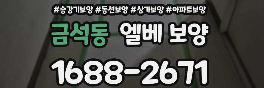 금석동 엘베 보양