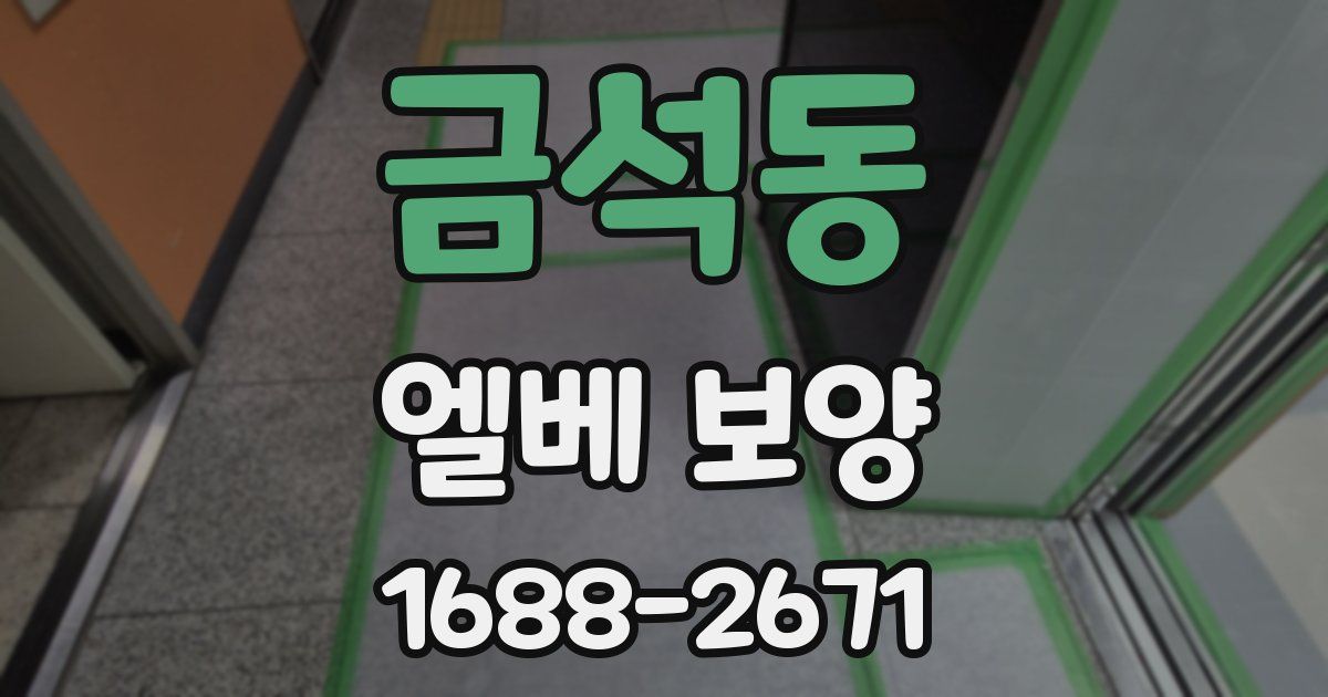금석동 엘베 보양