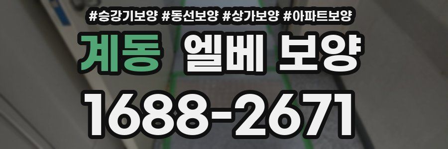 계동 엘베 보양