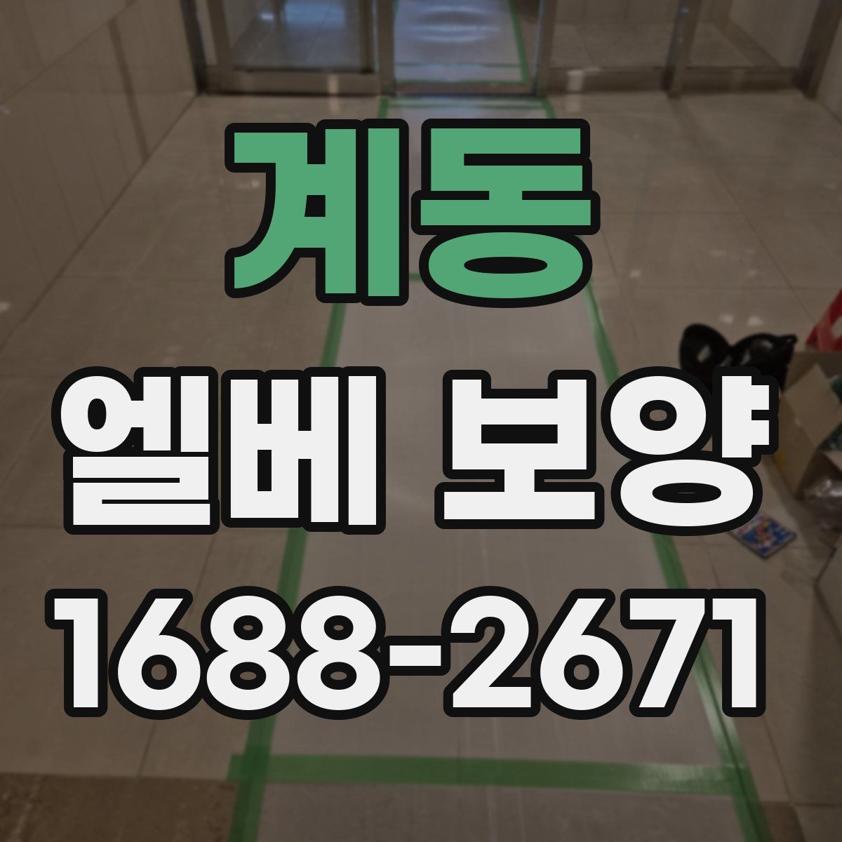 계동 엘베 보양