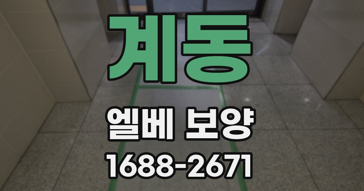 계동 엘베 보양