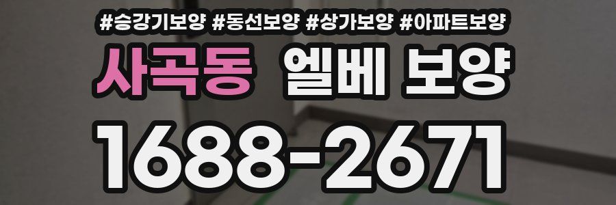 사곡동 엘베 보양