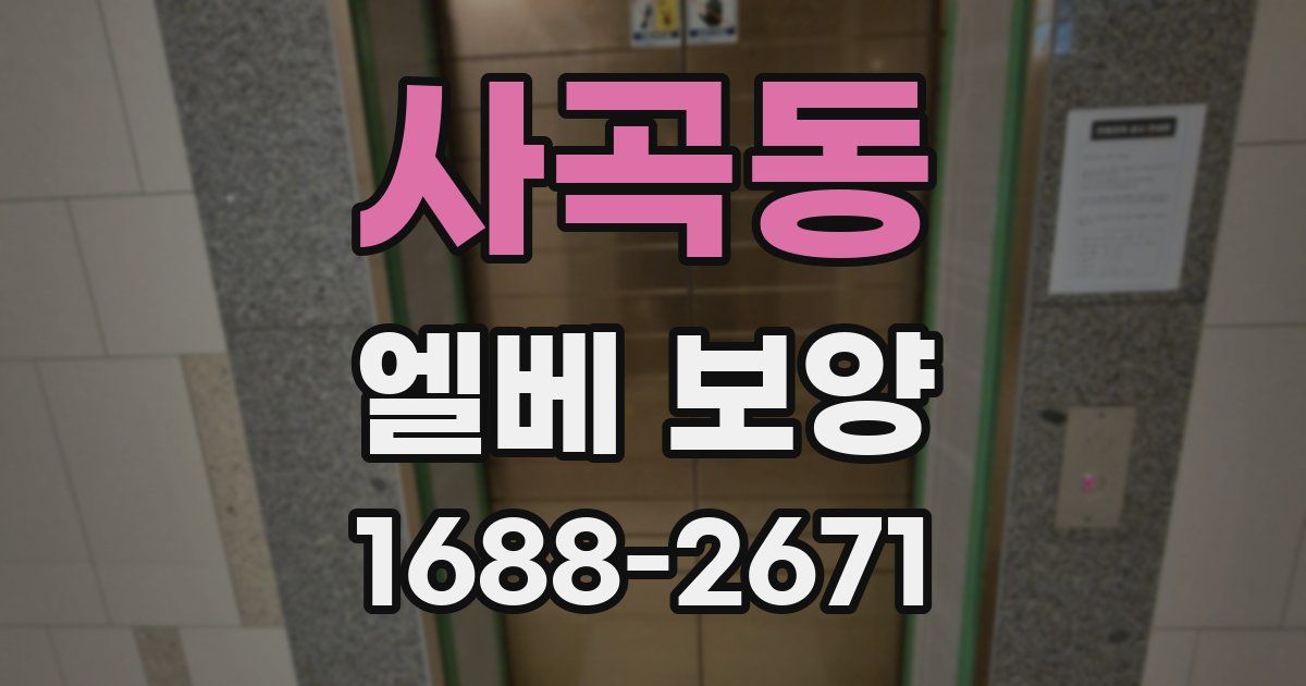 사곡동 엘베 보양
