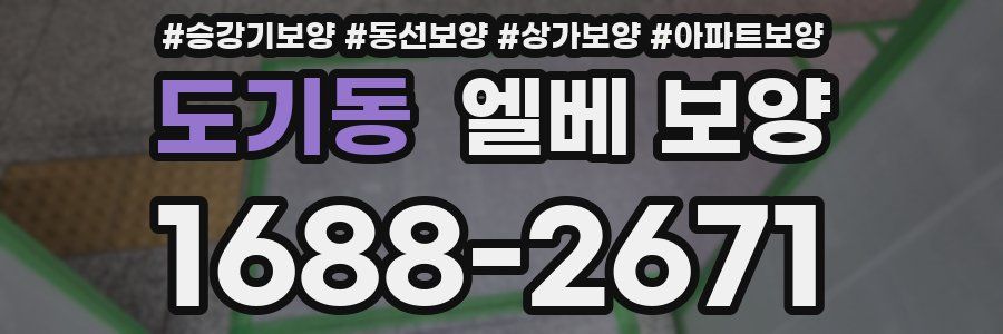 도기동 엘베 보양