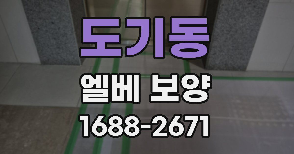 도기동 엘베 보양