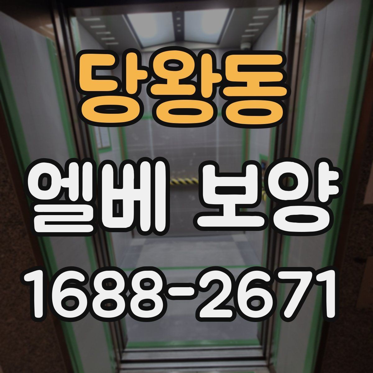당왕동 엘베 보양 자재 고정 방식과 탈락을 줄이는 관리법
