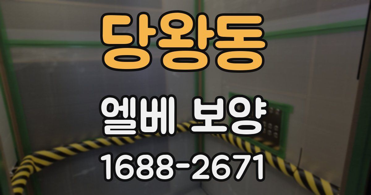 당왕동 엘베 보양