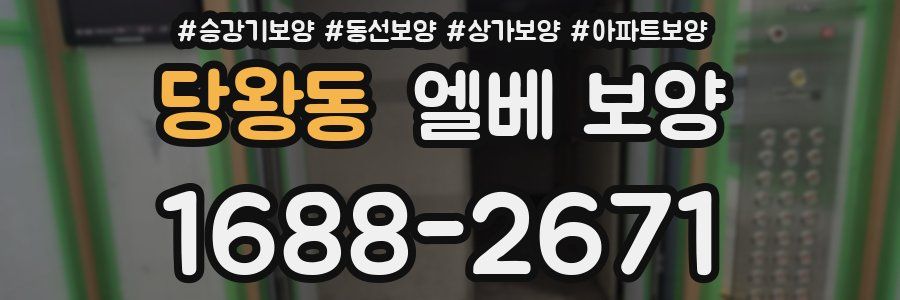 당왕동 엘베 보양