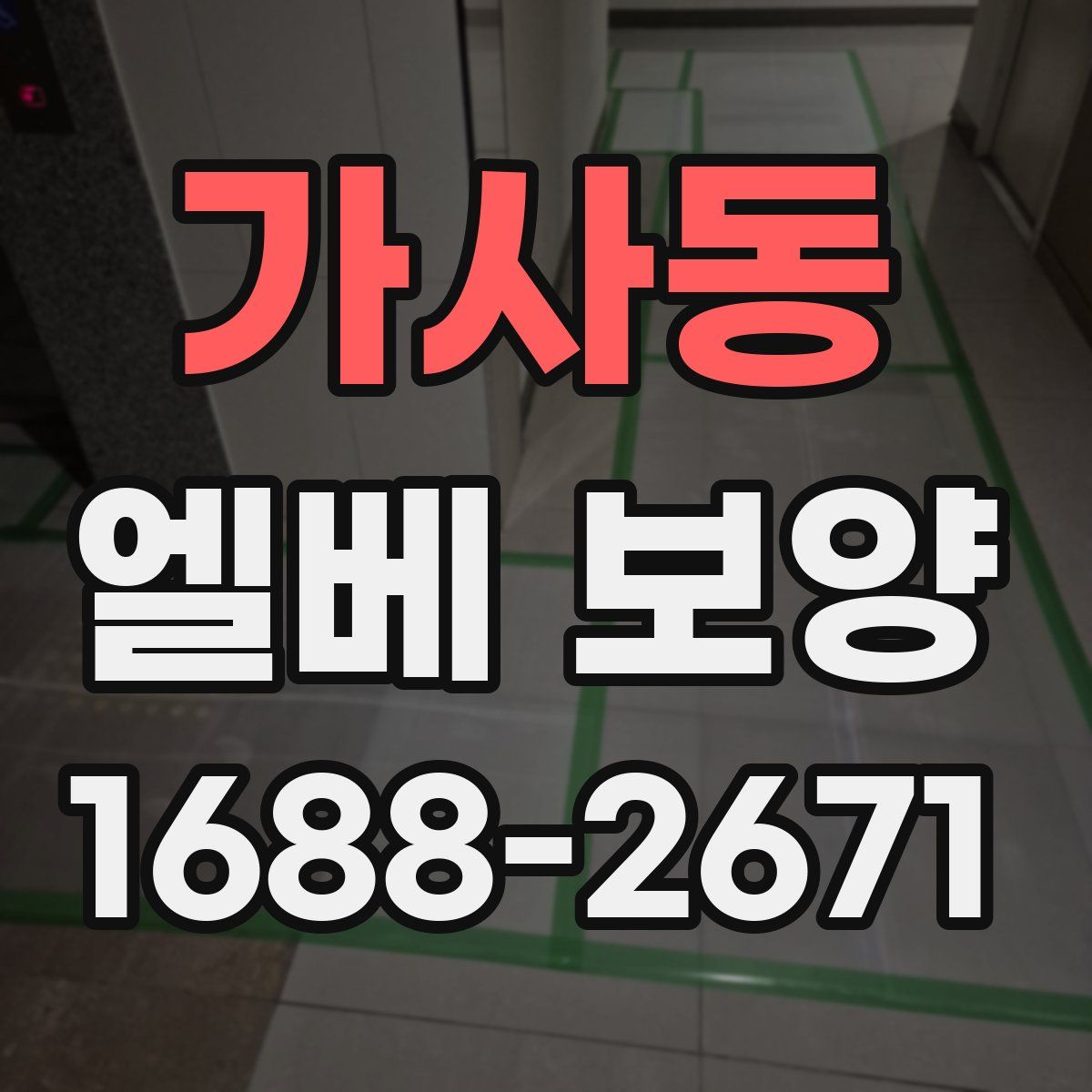 가사동 엘베 보양