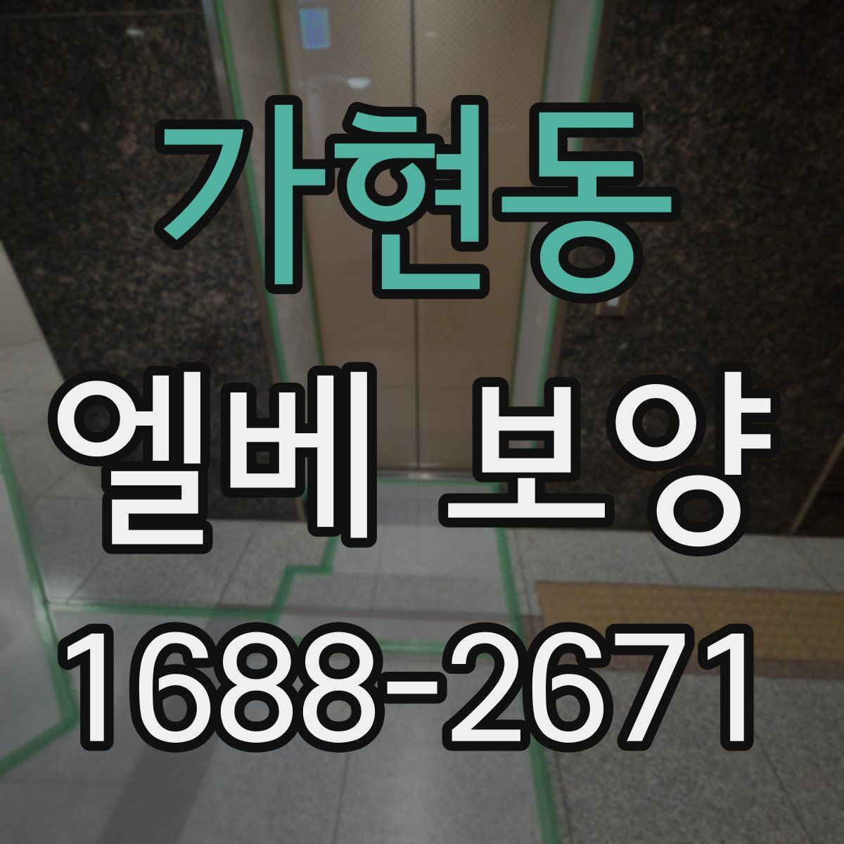 가현동 엘베 보양