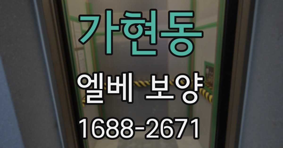 가현동 엘베 보양