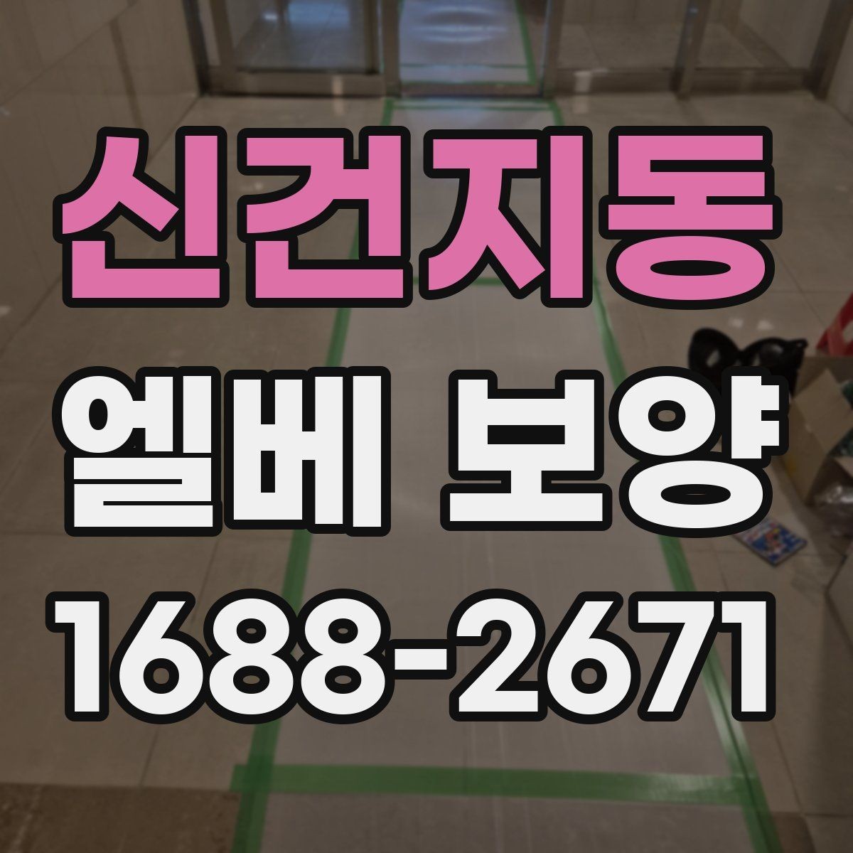 신건지동 엘베 보양 보행자 왕래가 잦은 아파트 관리 요령