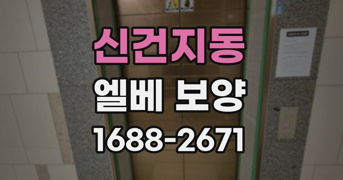 신건지동 엘베 보양