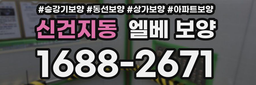 신건지동 엘베 보양