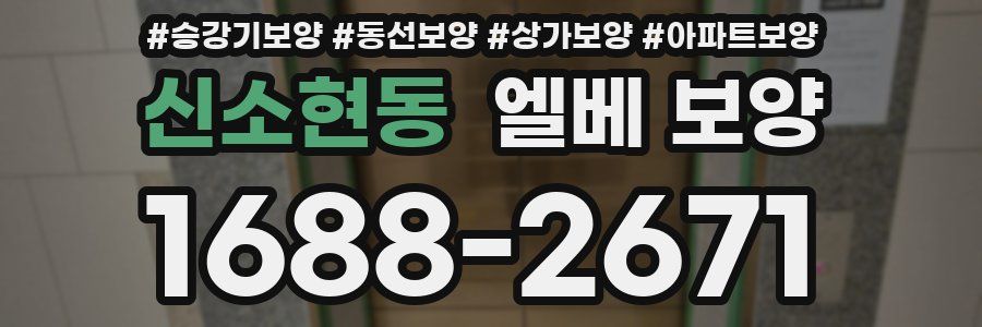 신소현동 엘베 보양