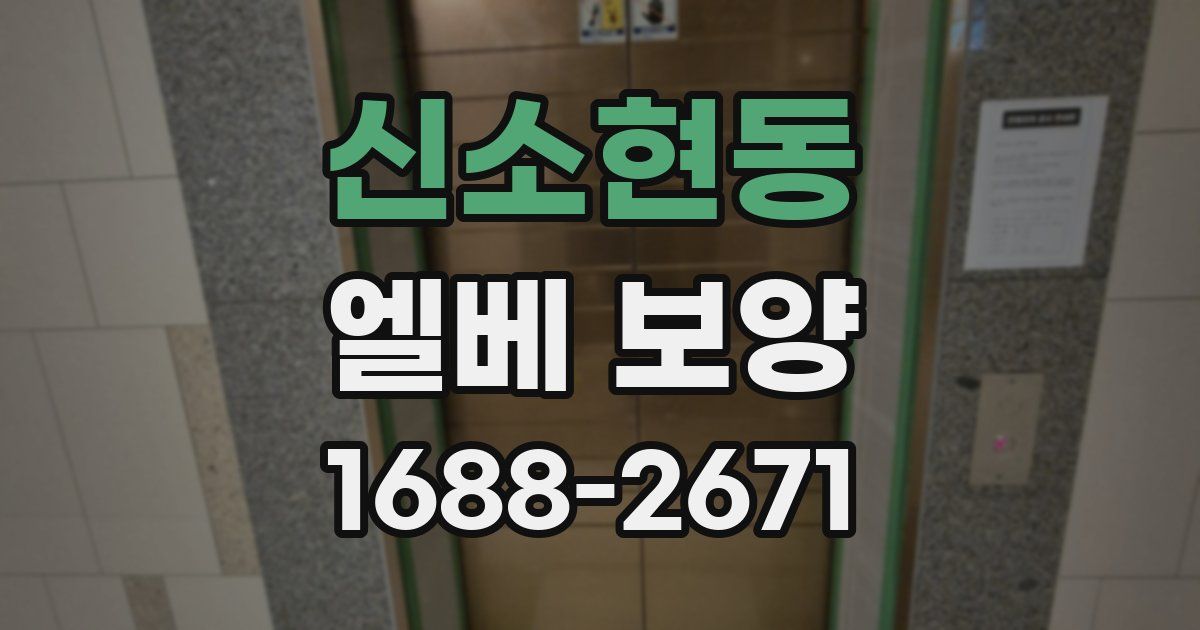 신소현동 엘베 보양