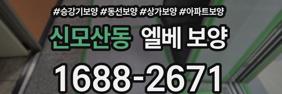 신모산동 엘베 보양