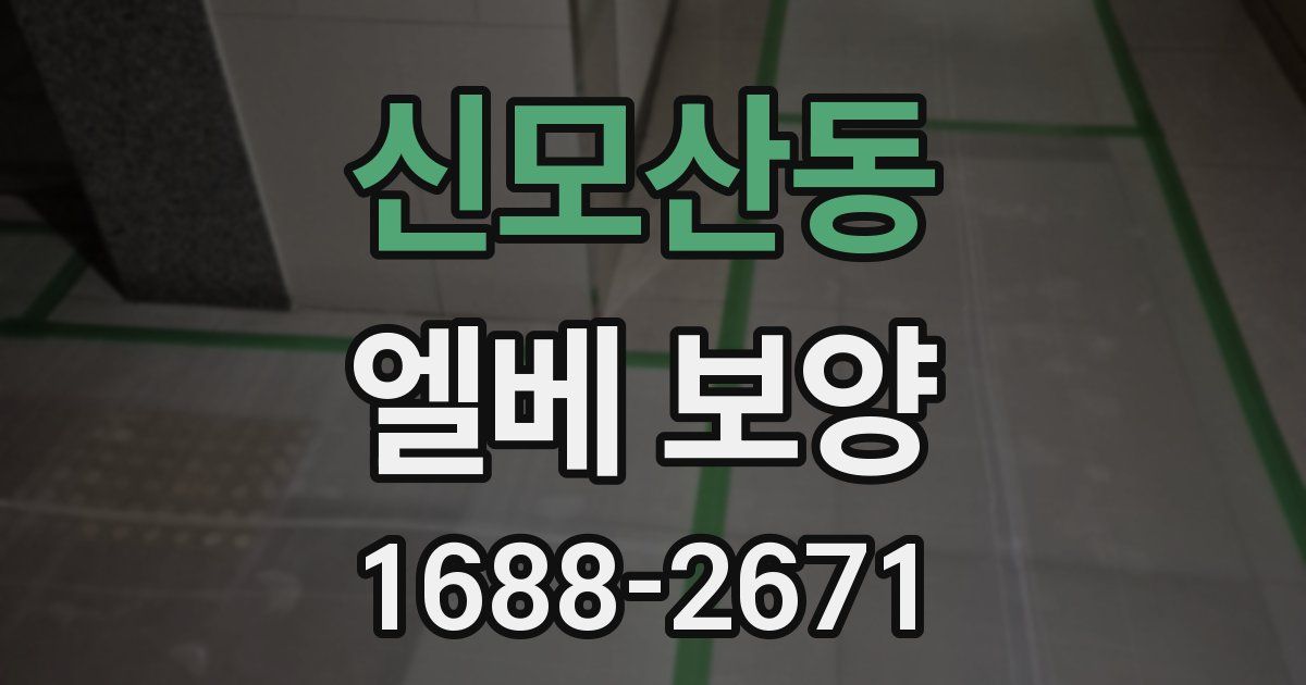 신모산동 엘베 보양