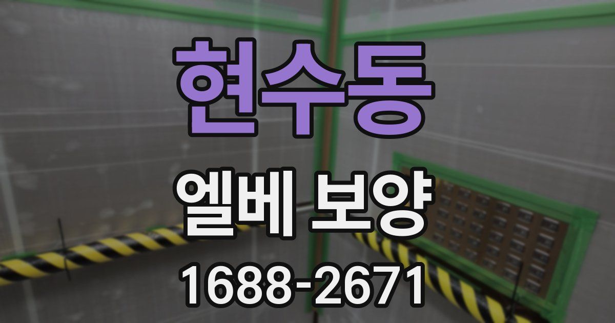 현수동 엘베 보양