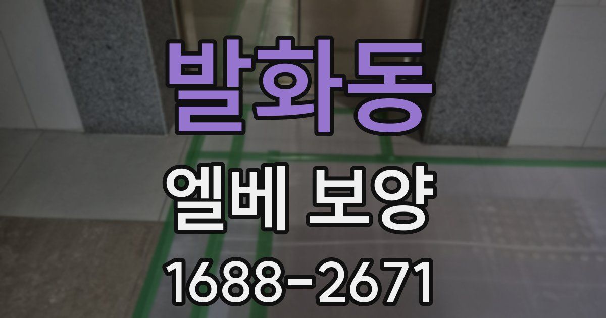 발화동 엘베 보양