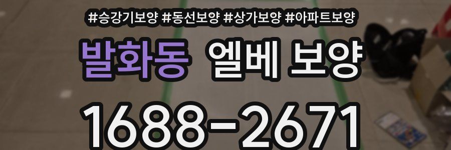 발화동 엘베 보양