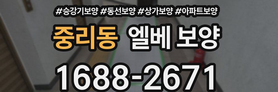중리동 엘베 보양