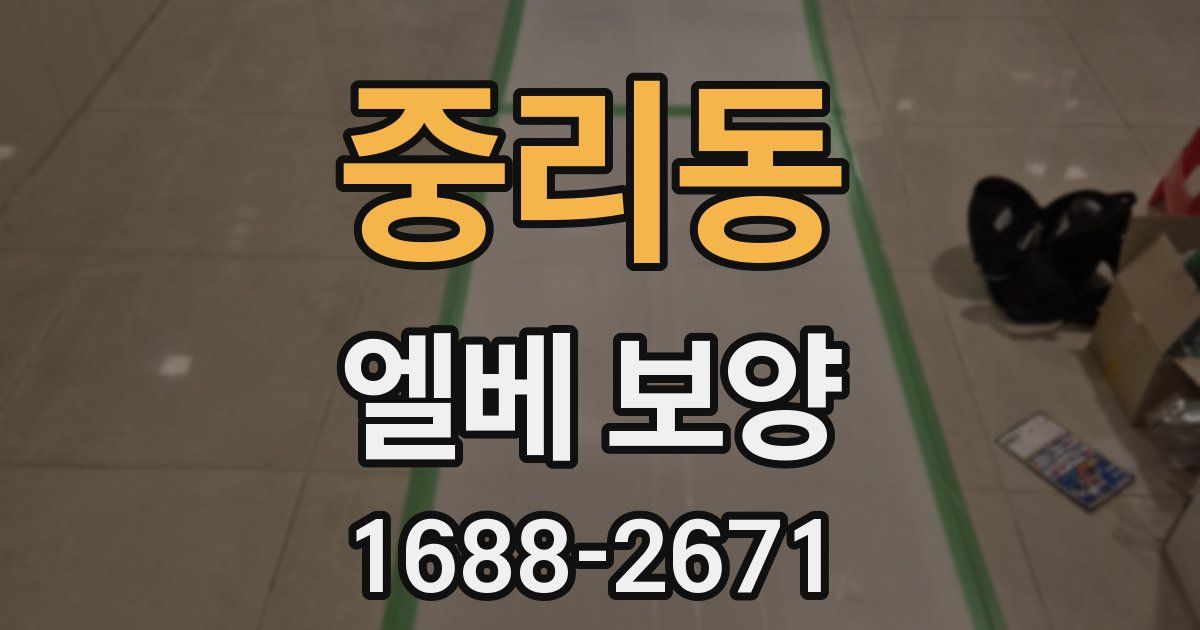 중리동 엘베 보양