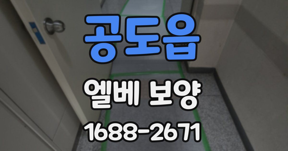 공도읍 엘베 보양