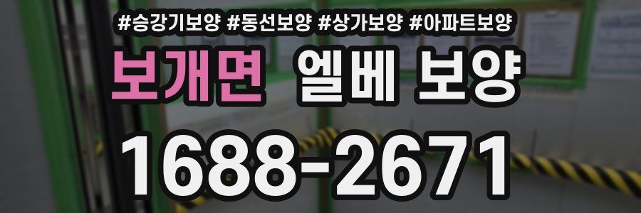 보개면 엘베 보양