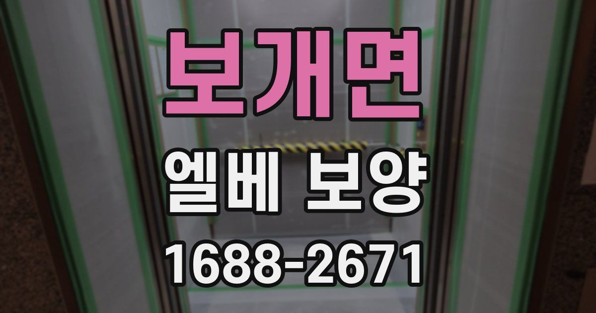 보개면 엘베 보양