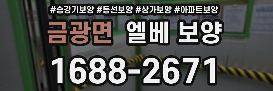 금광면 엘베 보양