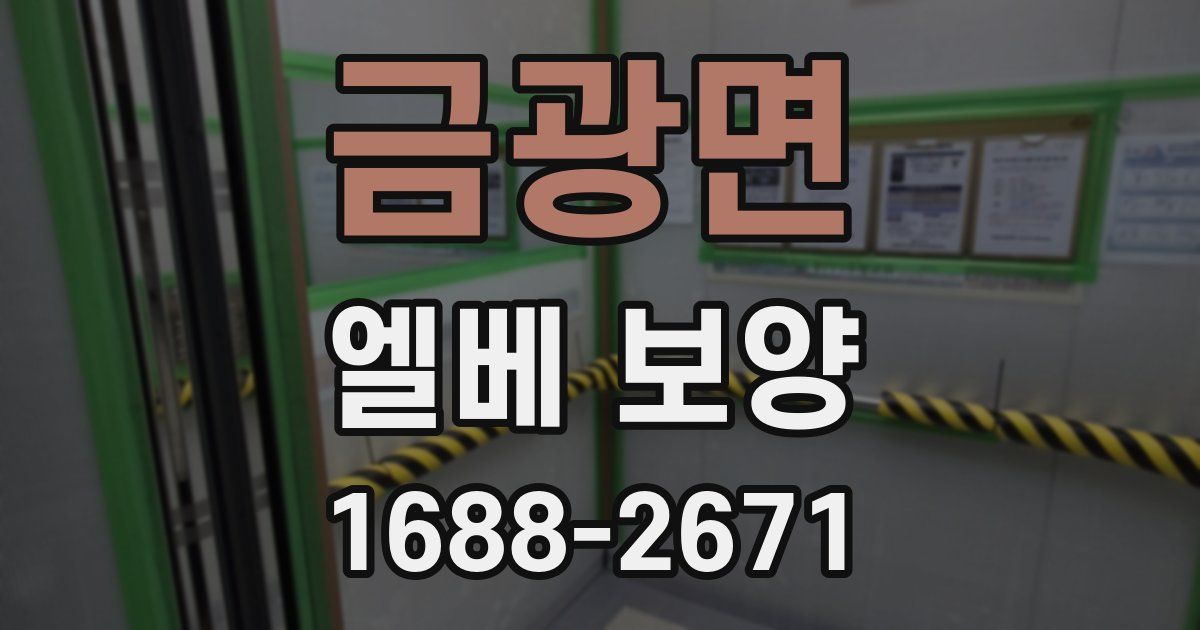 금광면 엘베 보양