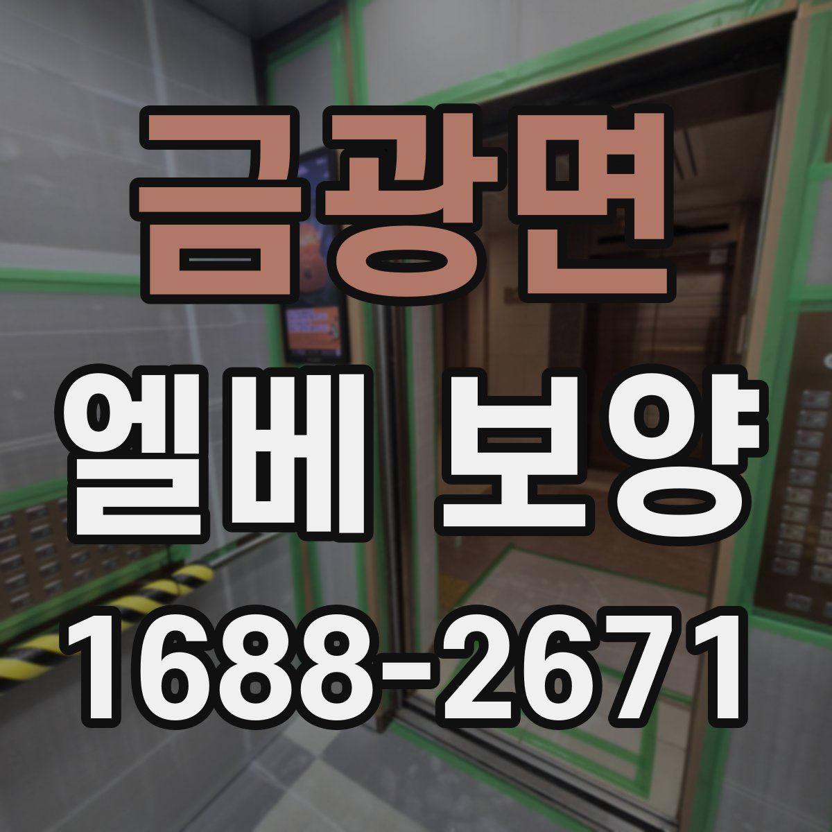 금광면 엘베 보양