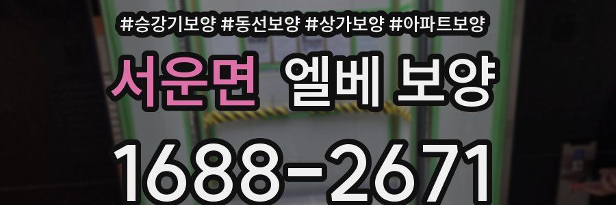 서운면 엘베 보양