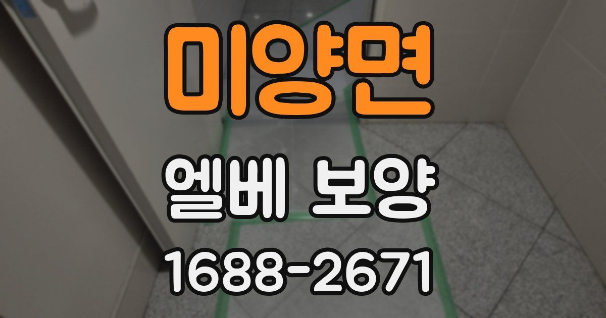 미양면 엘베 보양