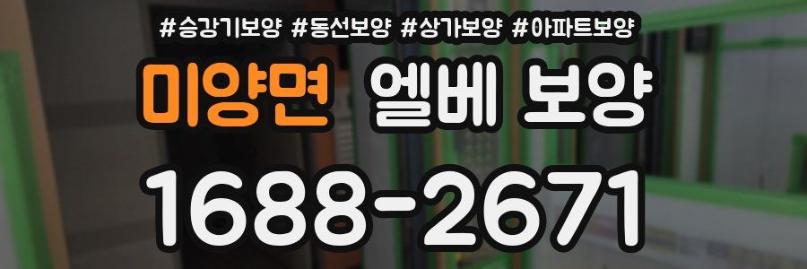 미양면 엘베 보양