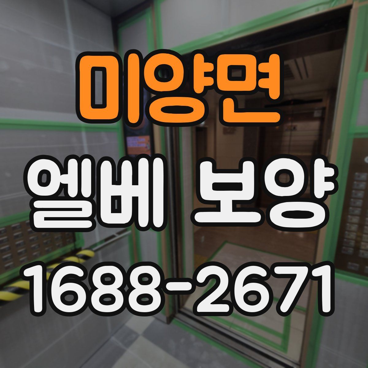 미양면 엘베 보양