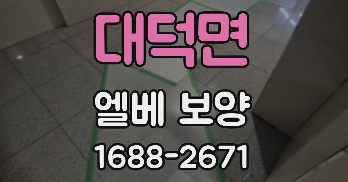 대덕면 엘베 보양
