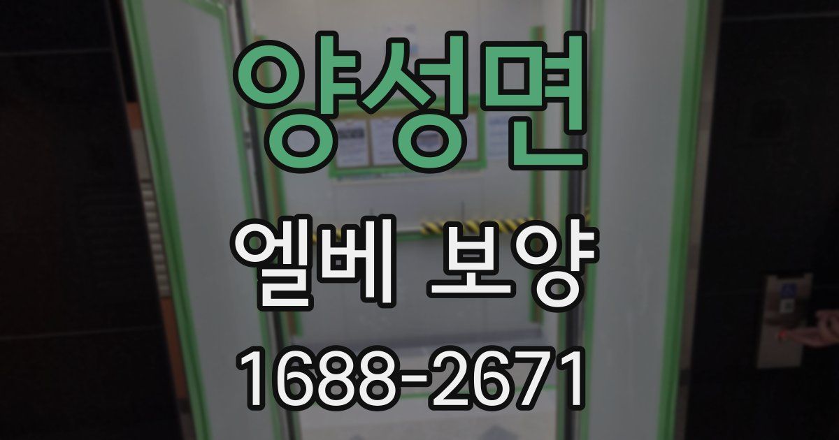 양성면 엘베 보양