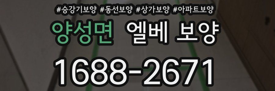 양성면 엘베 보양