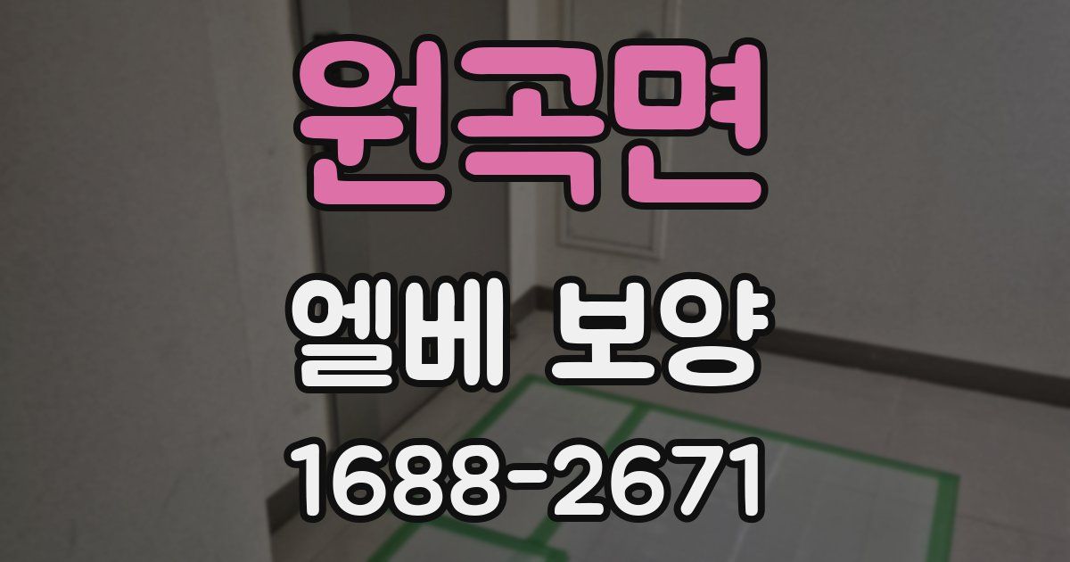 원곡면 엘베 보양